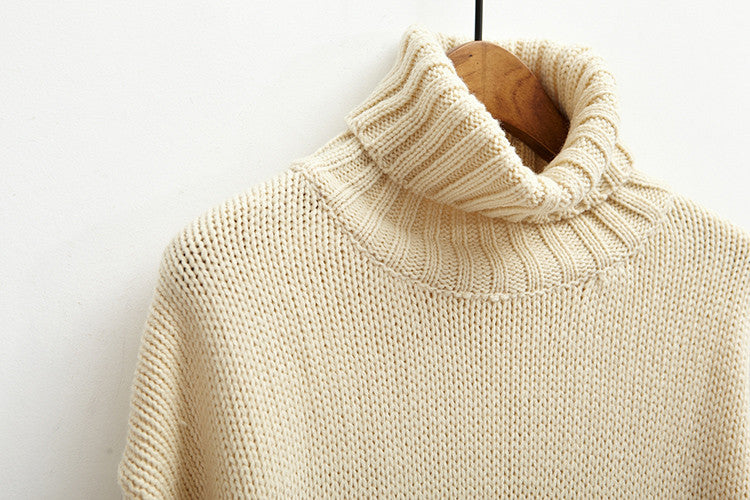Long Snug-Fit Turtleneck Sweater